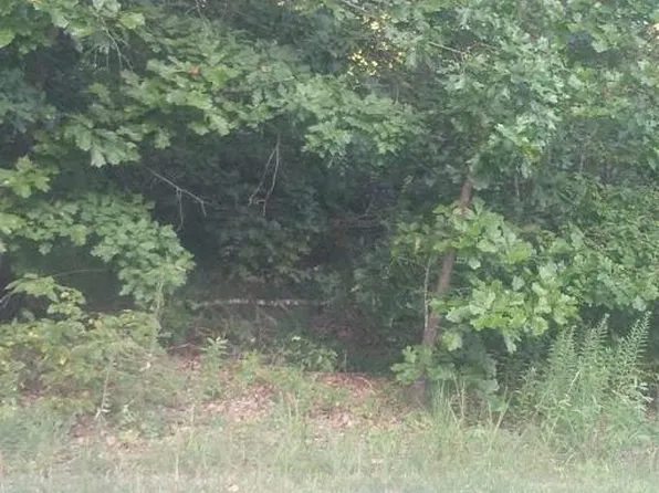 Newstead Cir, Cir, AR 72715