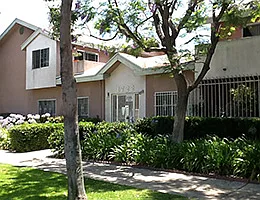 1 bed, 1.0 bath, $982 — Photo 3