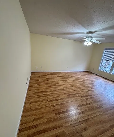 243 Northwynd Cir — Photo 8