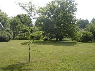 Side and backyard