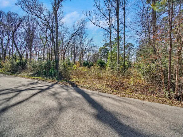 10884 Champion Village Dr, Conroe, TX 77303
