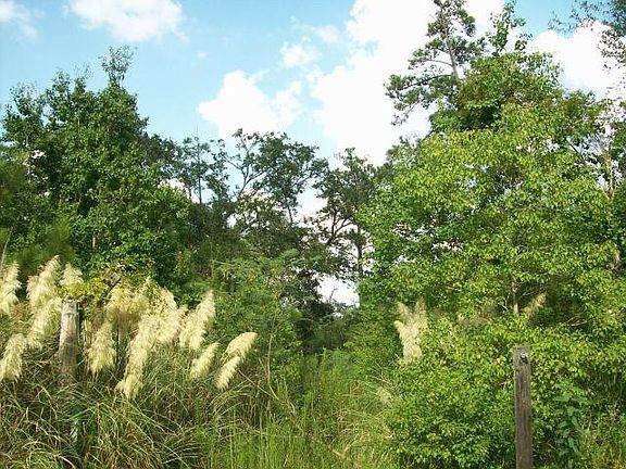5th image of 10074 Bayou Dr