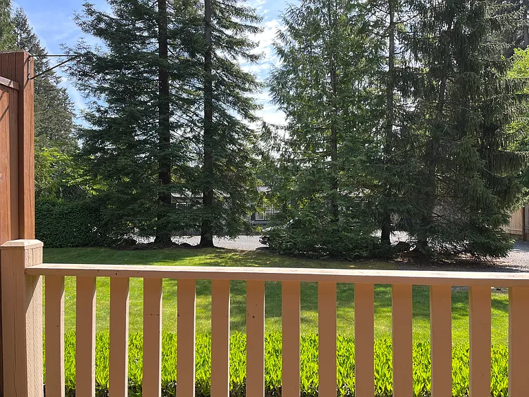 Back yard
