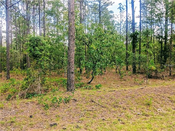 2nd image of 0 NW Foxglove Ln