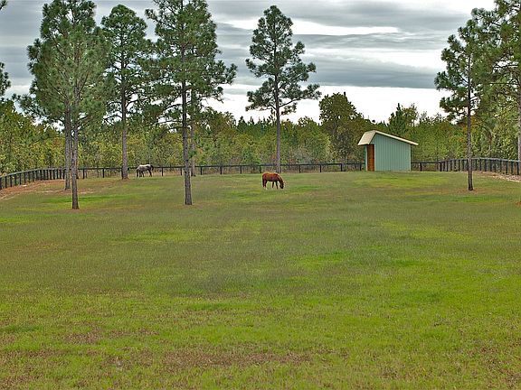 bermuda grass pastures 