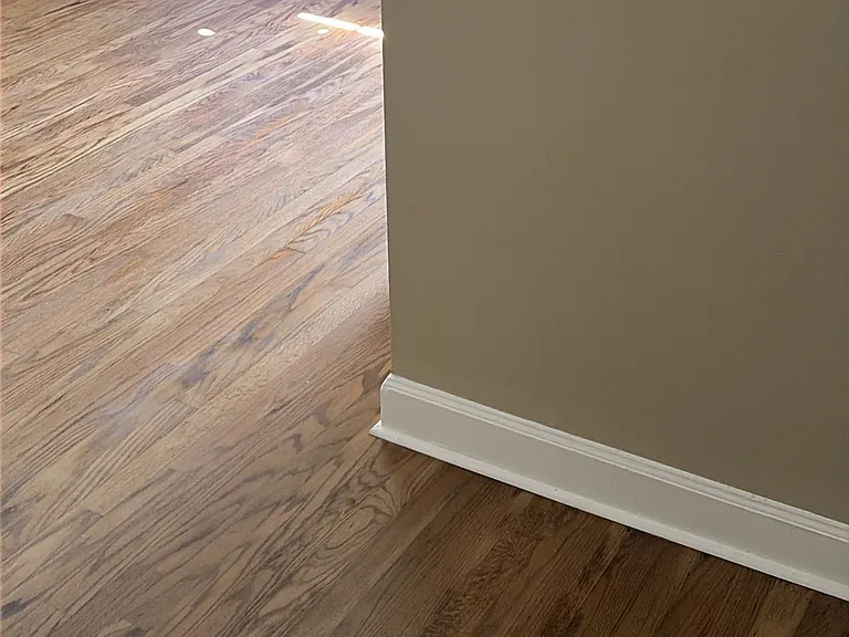 3208 Downes Grove Rd — Photo 23