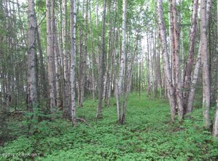 A003 Lynx Lake Rd, Willow, AK 99688