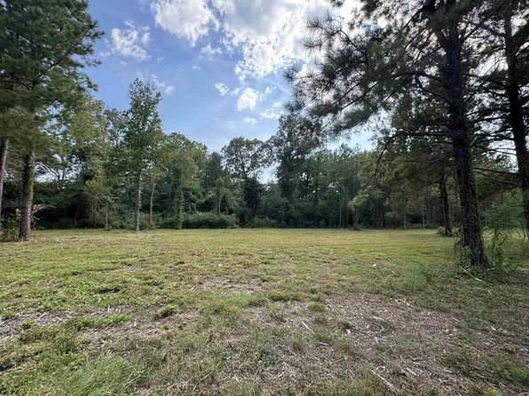 TRACT Highway 16 #D, Denham Springs, LA 70706