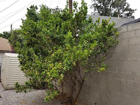 3rd image of 20709 Kenwood Ave