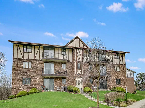 11006 S Theresa Cir APT 2C, Palos Hills, IL 60465