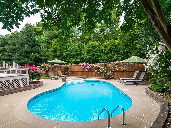 Salt water pool/private back