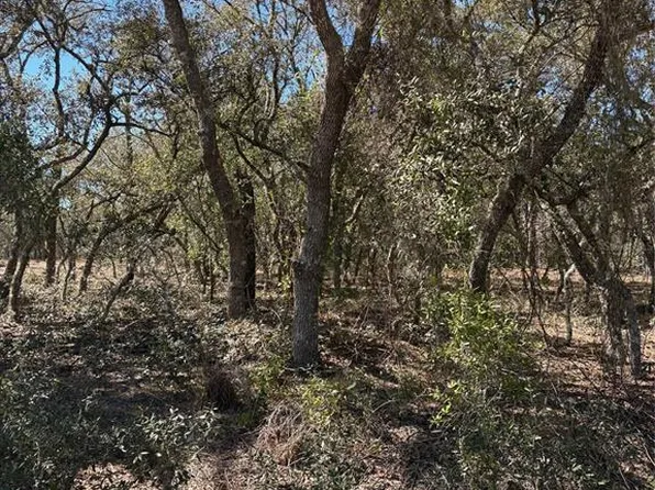 Tba Se 132nd Court Ct #Se, Dunnellon, FL 34431