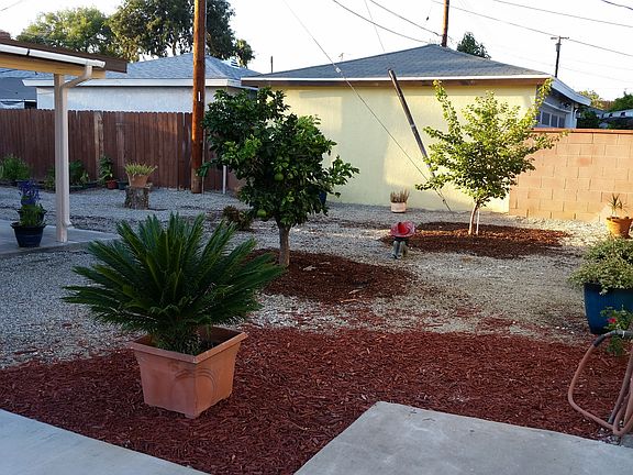 Front and side yard