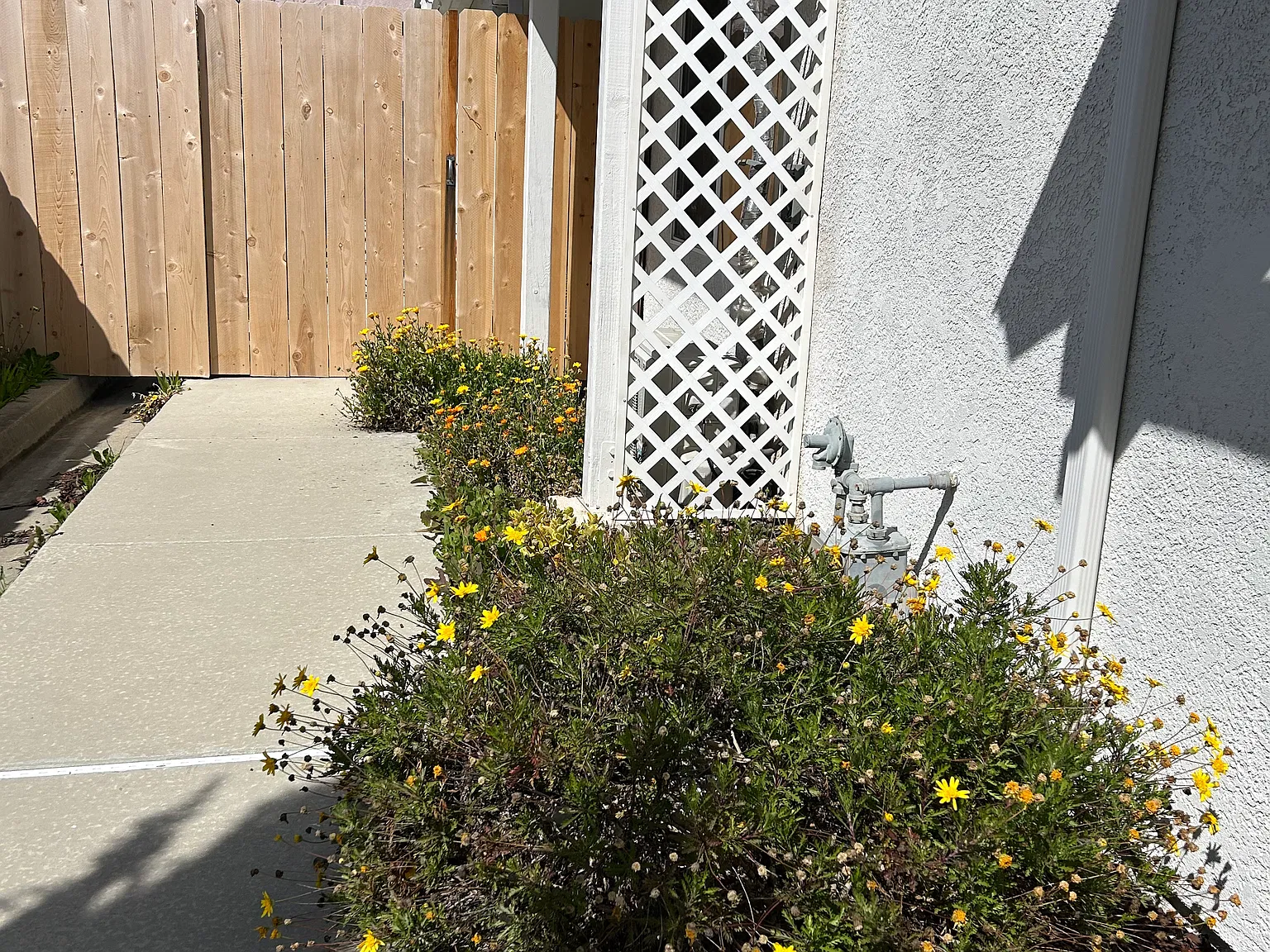 Marian Way, San Luis Obispo — Photo 3