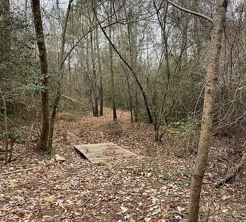 Bridge over minor creek