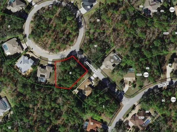 5 Shamrock Ct, Homosassa, FL 34446