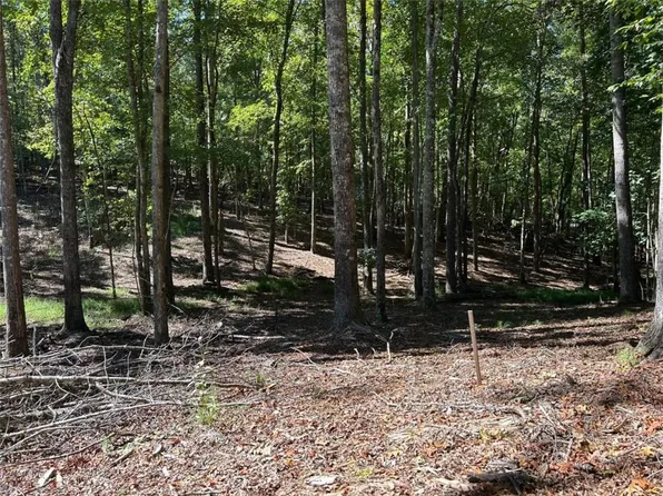 LOT 533 Eagle Mountain Dr, Ellijay, GA 30540