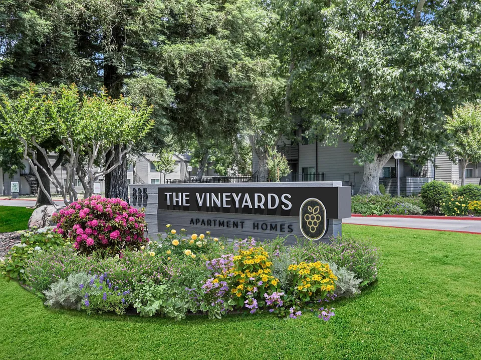 Vineyards