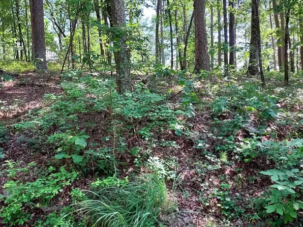 52 Montanoso Pl, Hot Springs Village, AR 71909