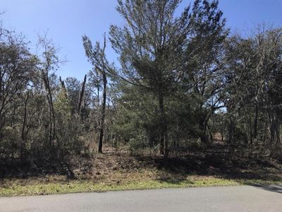 1994 CR 243 A LOT 23, Wildwood, FL, 34785