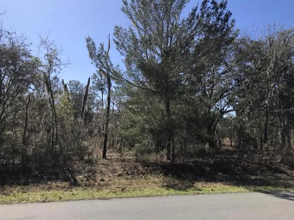 1994 CR 243 A LOT 23, WILDWOOD, FL 34785