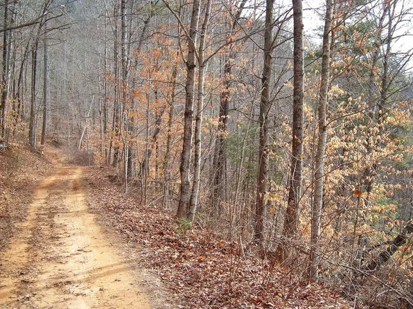 14 Cedar Cliff Stovall, Tuckasegee, NC 28783