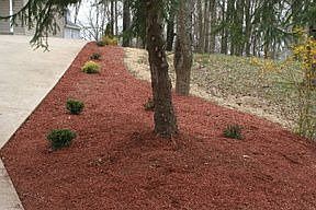 1st image of 20582 Edelweiss Ln