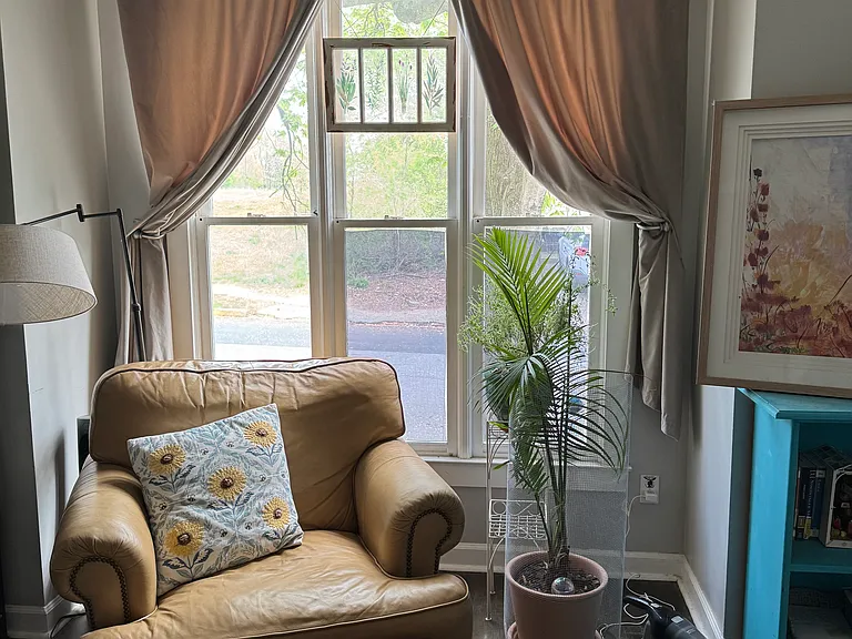 East-facing windows from the living room.