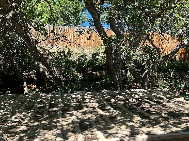 Garden area