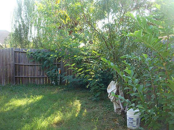 3rd image of 18819 Driftwood Springs Dr
