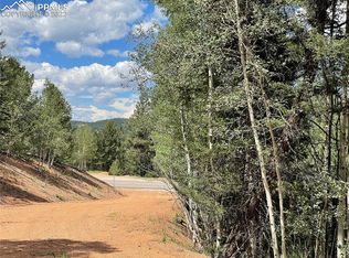 26 Hemitite Ln, Divide, CO 80814
