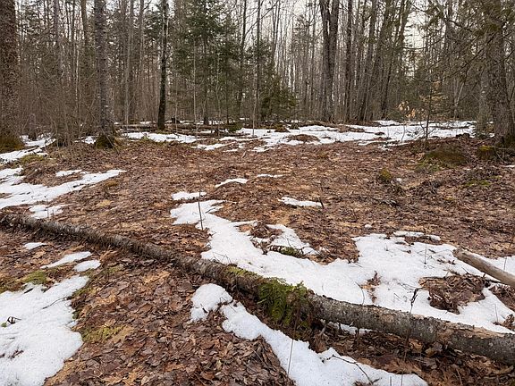 5th image of 370 Maple Road