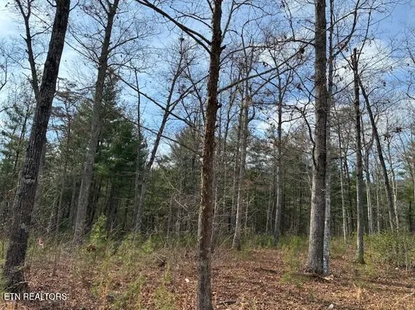 0 Mountain Ash Way Lot 7, Sevierville, TN 37876