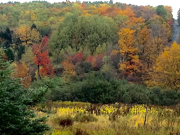 View from 2nd fl living area