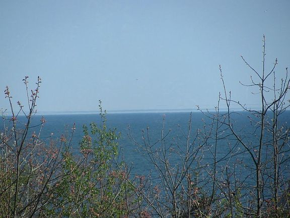 View from Master Bedroom