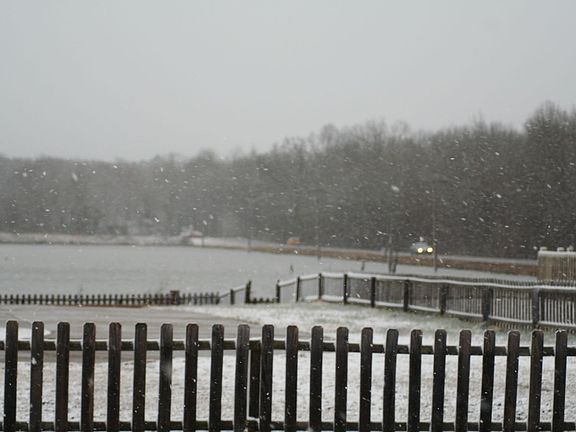 View from Back Yard