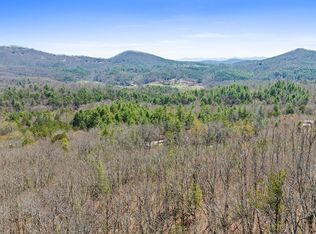 40A Synacia Dr, Mineral Bluff, GA 30559