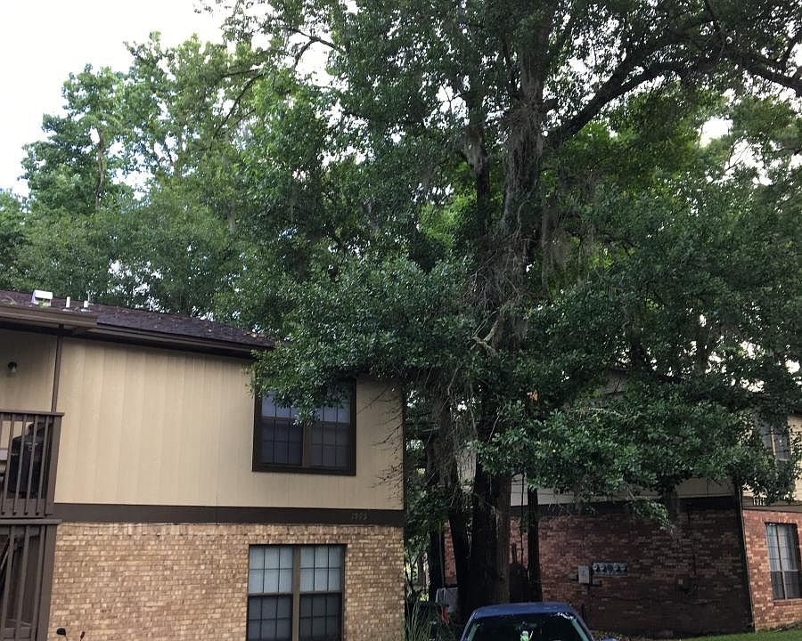 1st image of 1971 Darryl Dr APT D