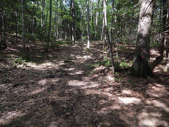 2nd image of Oxbow Road