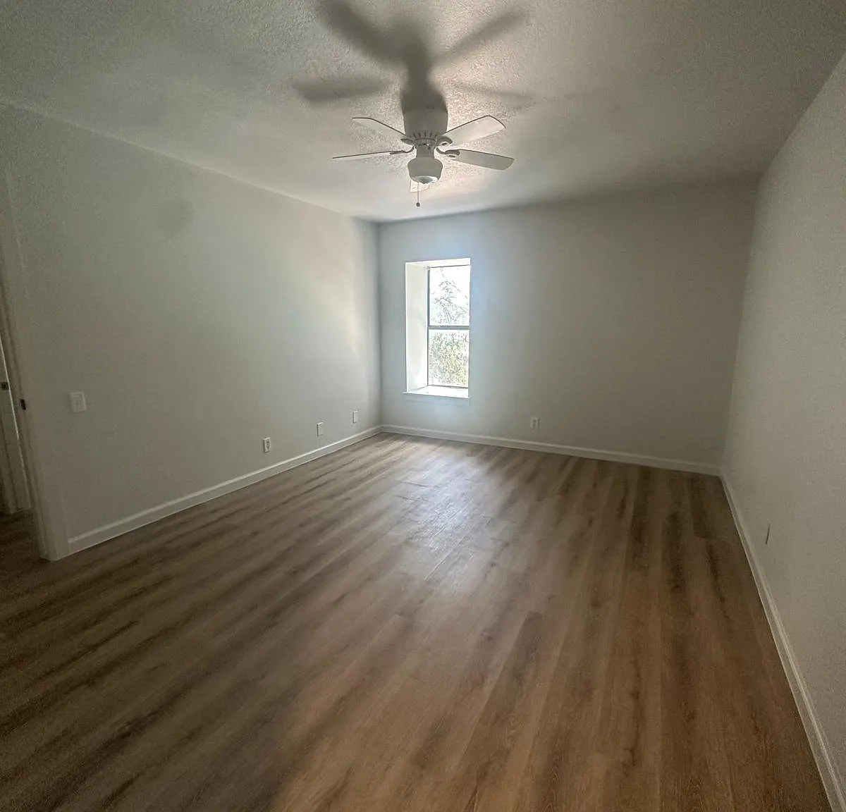 2 bed, 1.5 bath, 906 sqft, $1,200 — Photo 4