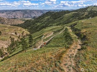6575 Union Valley Road, Chelan, WA 98816