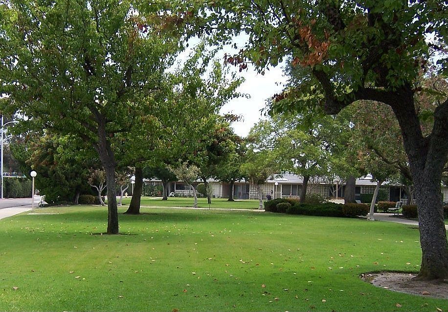 Park View