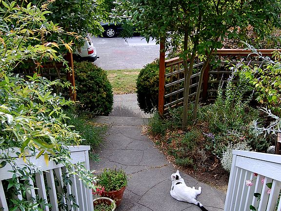 front step