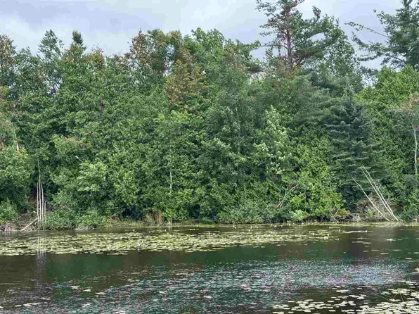 Tbd Pickerel Lake Rd, Petoskey, MI 49770