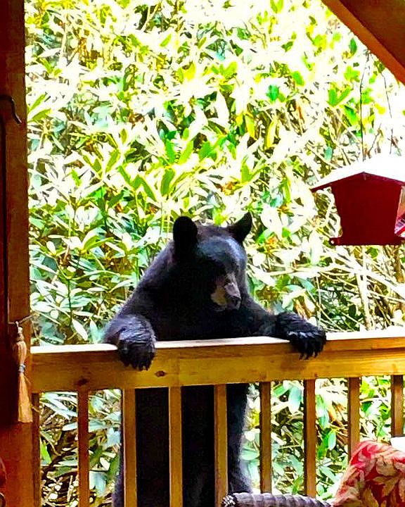 Neighbor visits 