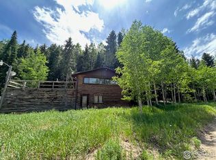 79 Beaver Creek Dr, Nederland, CO 80466