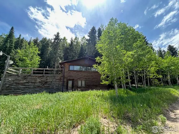 79 BEAVER CREEK Dr, Nederland, CO 80466