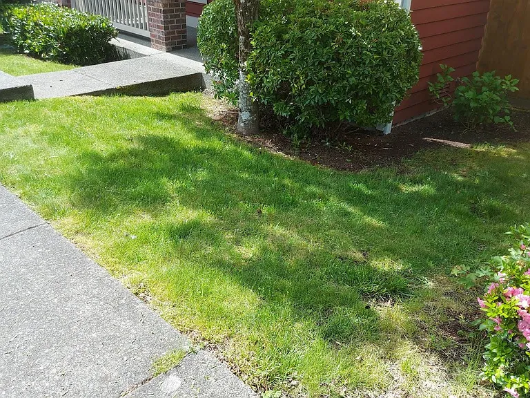 9837 223rd Pl NE — Photo 23