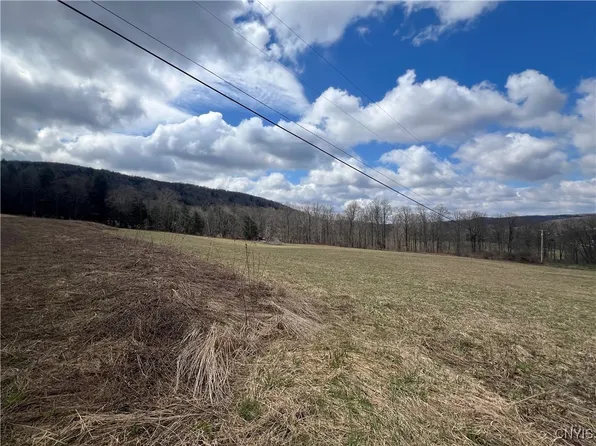 951 County Road 42 #2, South Otselic, NY 13155