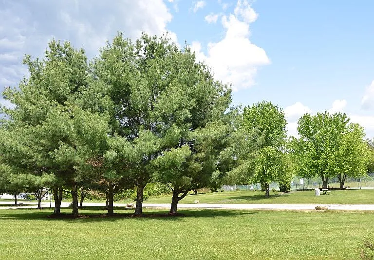 Oak Creek - A Beautiful Place to Live — Photo 32